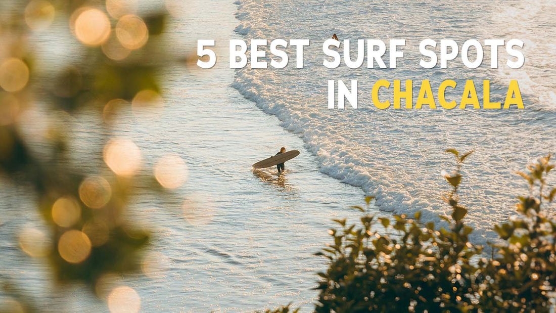 5 Best Surf Spots in Chacala