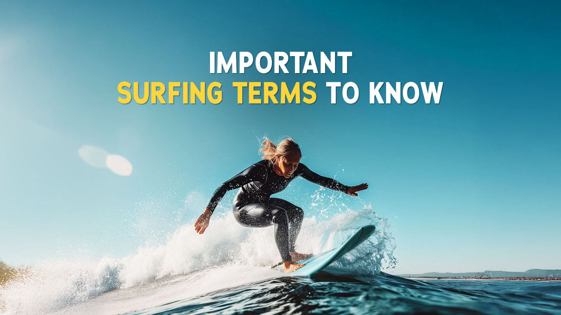 Important Surfing Terms to Know